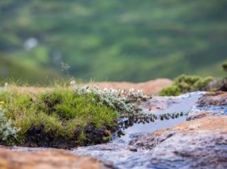 Eastern Cape Grasslands declared a national park. 